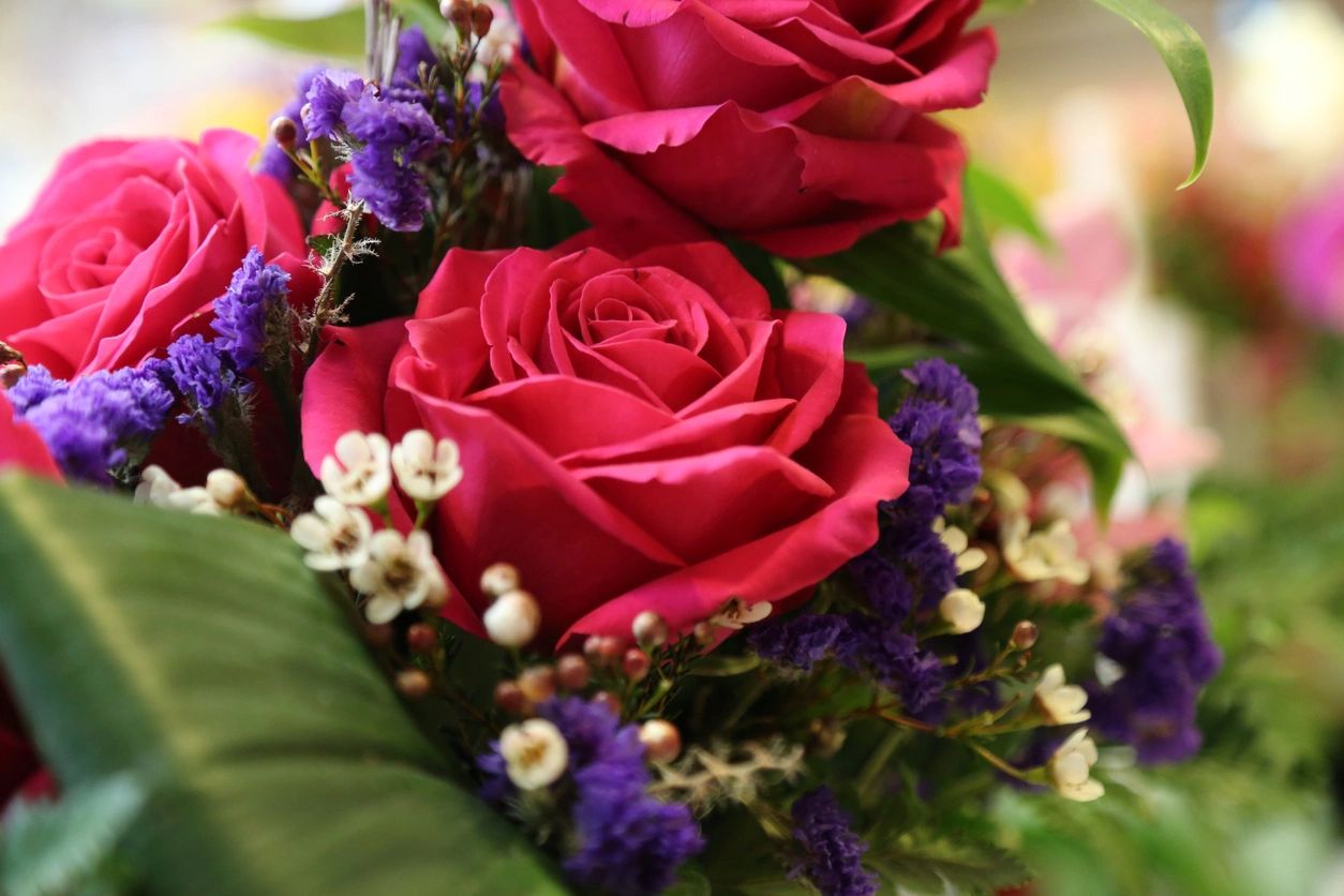 Pink and magenta roses with purple statice